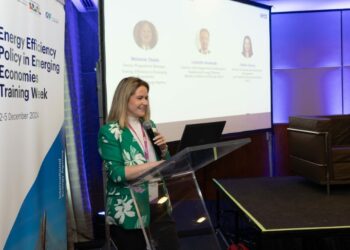 OLACDE destaca la relevancia de la Eficiencia Energética en América Latina y el Caribe durante evento de la IEA en São Paulo