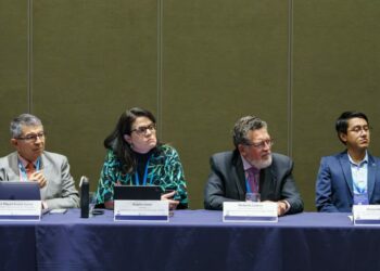 Energy Transition Dialogues in Guatemala: A Step Towards Regional Sustainability