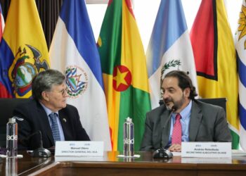 OLACDE e IICA impulsan temas estratégicos para la transición energética en la región