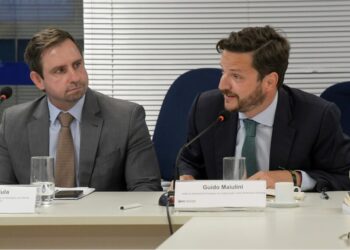 OLACDE participates in the Seminar “25 Years of the First Presidential Meeting of the Brasília Consensus”