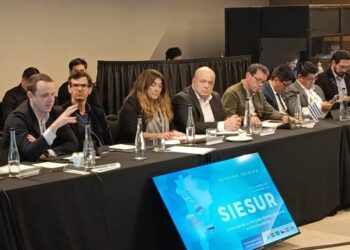OLACDE participates in the SIESUR Technical Meeting in Buenos Aires