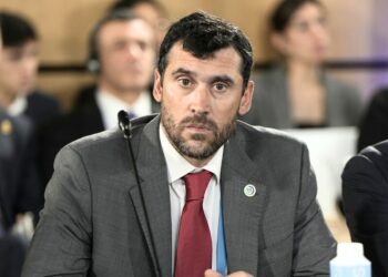 OLADE participated in the Paris Peace Forum 2025