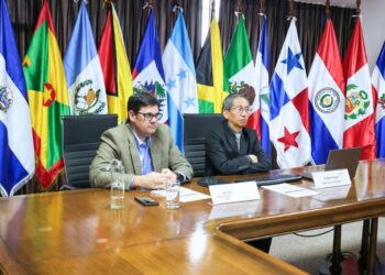 Bolivia launches the National Energy Information System – sieBolivia, developed with the support of OLACDE