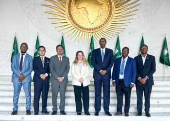 OLACDE promotes interregional technical dialogue on energy efficiency with Asia and Africa