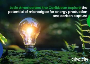 Latin America and the Caribbean explore the potential of microalgae for energy production and carbon capture
