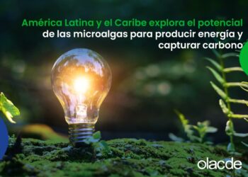América Latina y el Caribe explora el potencial de las microalgas para producir energía y capturar carbono