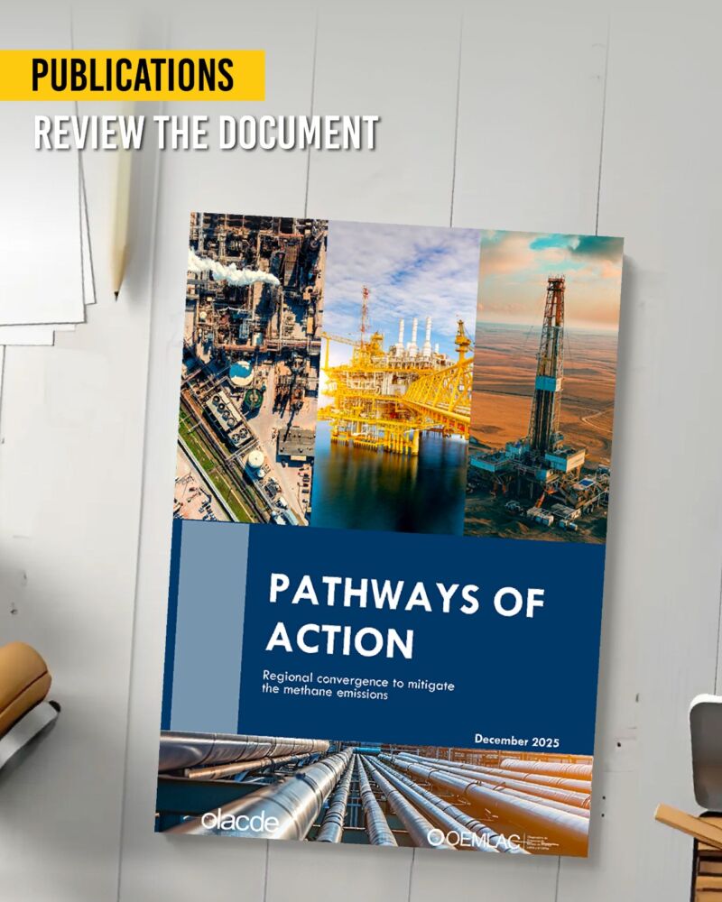 Image for the Tweet beginning: 📘 Pathways of Action 2025