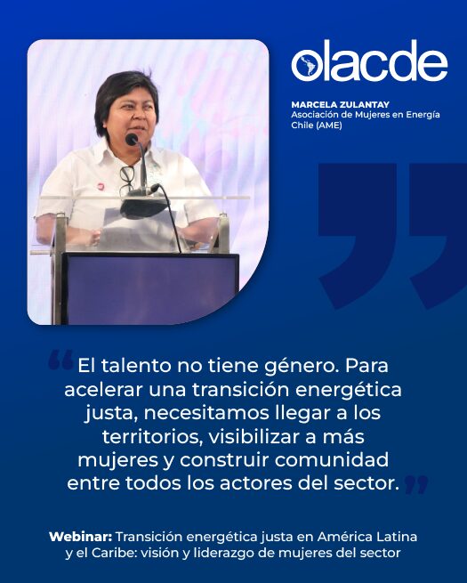 Image for the Tweet beginning: Durante el webinar “Transición energética